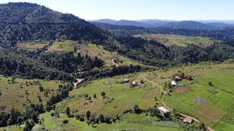 Orduda cuma hutbesi sonrası Yayla evlerinde erzak bırakmayın uyarısı