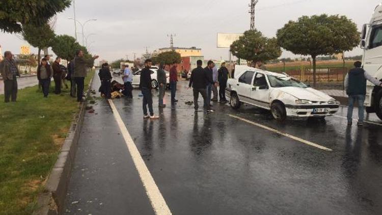 Yola çıkan inek kazaya yol açtı