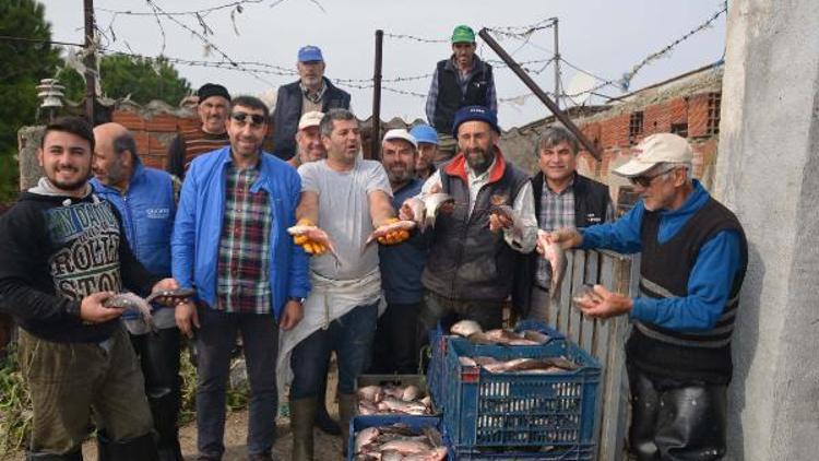 Kuşgölü’nden balık ihracatı durdu