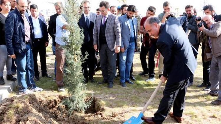 Şırnakta asker ve vatandaşlar birlikte fidan dikti