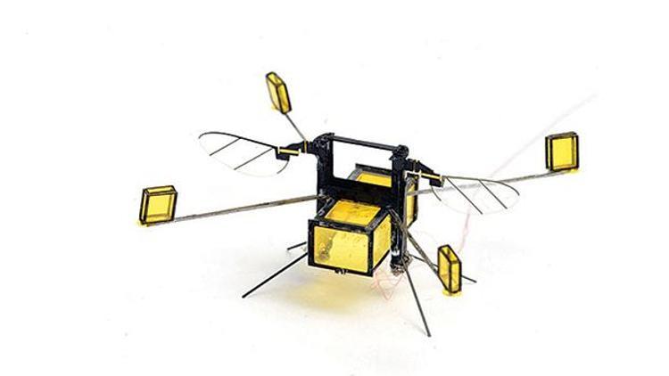 Suya dalıp çıkabilen robot arı