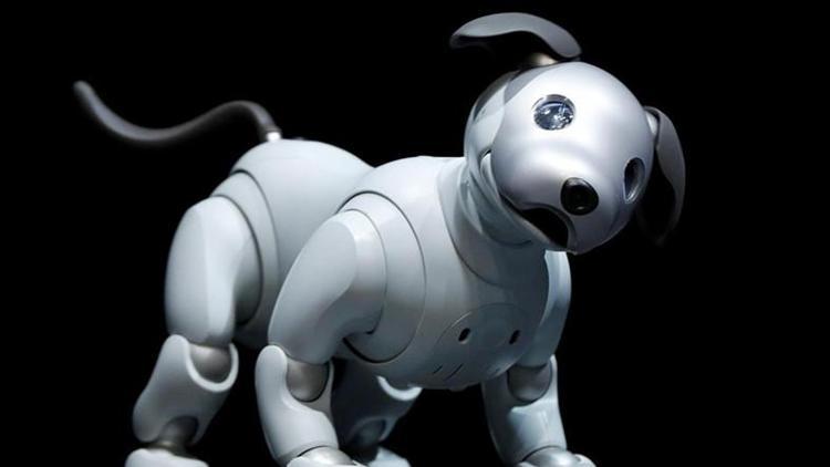 iPhone X fiyatına evcil robot köpek