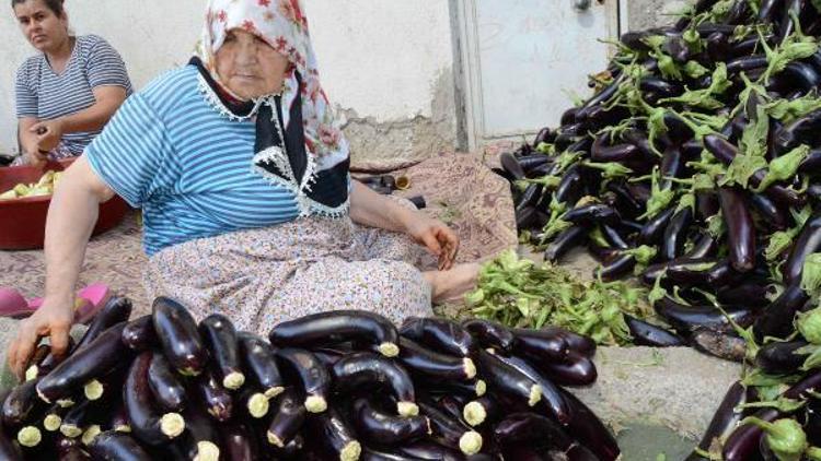 Patlıcan kurutma işi, Nazillide 700 kişiye istihdam sağlıyor