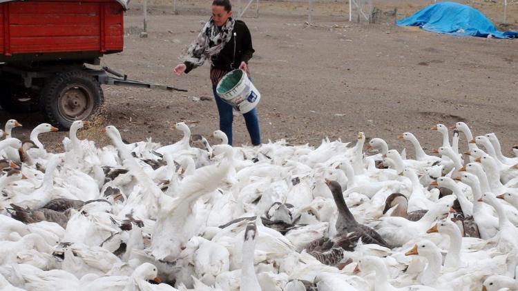 İşsizdi destek aldı Köyünde kurdu, kendi işinin patronu oldu