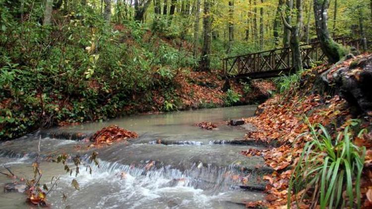 Zonguldak Kent Ormanında sonbahar güzelliği