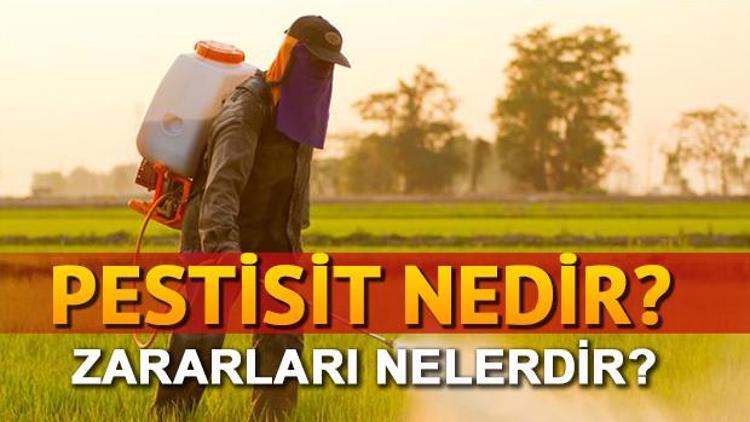 Pestisit nedir Pestisit zararları nelerdir