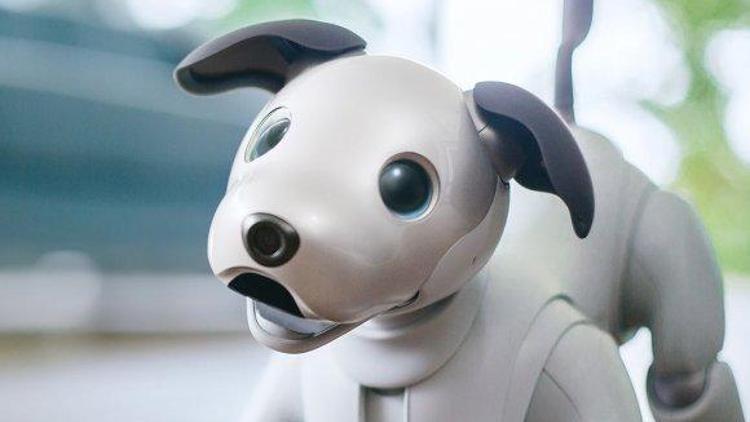 İşte Sonynin sevimli robot köpeği: Aibo