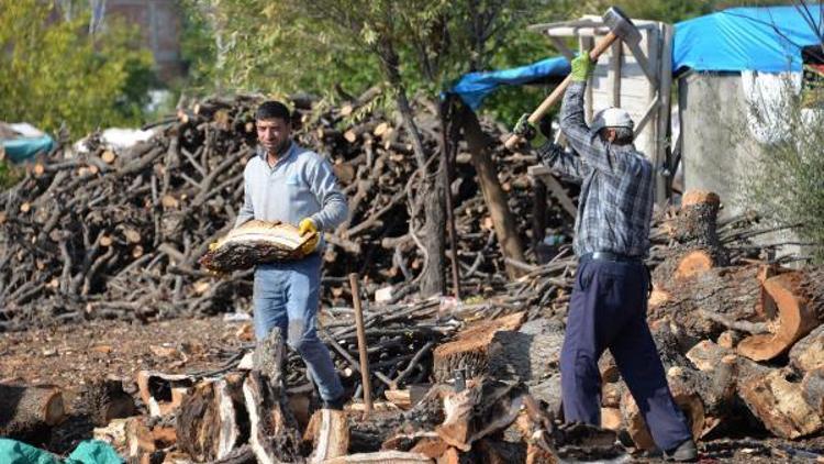 Diyarbakır odun pazarında esnaf dertli