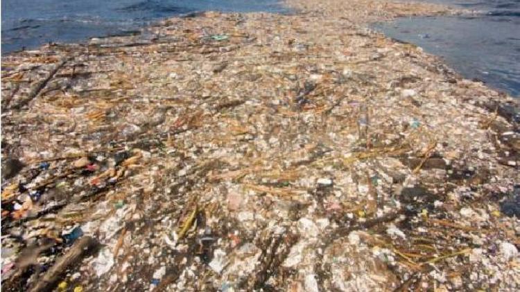 Karayipler’de plastik kirliliği inanılmaz boyutlara ulaştı