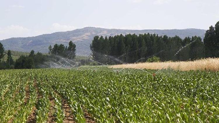 Ege Bölgesinde sulama yatırımları devam ediyor