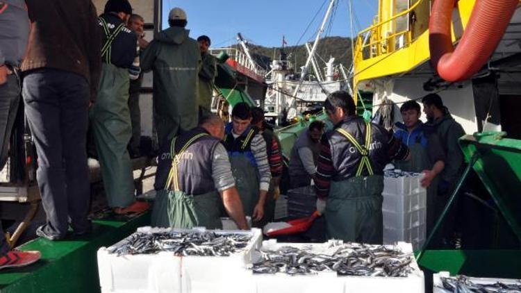 Amasra açıklarında avlanan balıkçılar, 300 ton hamsi ile döndü