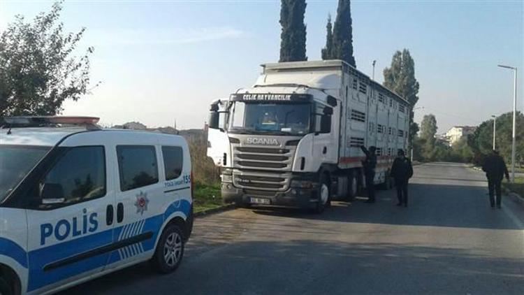 Uyuyan TIR sürücüsünün pantolonunu çaldılar...