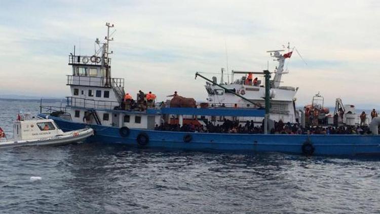 Çanakkale Boğazında 305 kaçak yakalandı