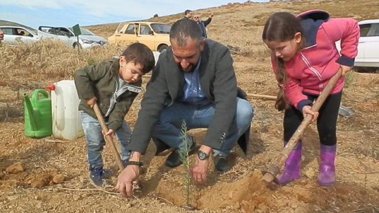 Her müşterisi için bir fidan dikiyor