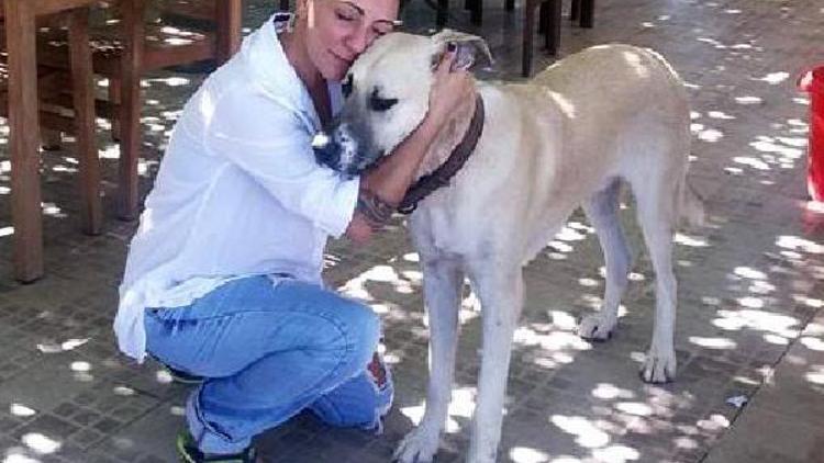 Özlem Tekinden sokak hayvanlarının bakımı için destek