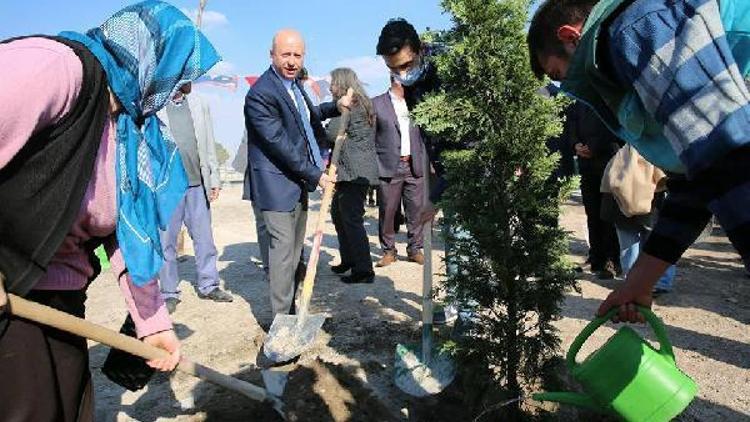 Başkan Çolakbayrakdar, lösemili çocuklarla fidan dikti