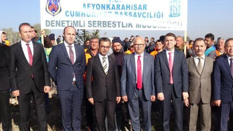 Denetimli serbestlik hükümlüleri fidan dikti