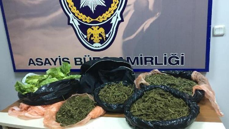 Marulun içinden 3 kilo esrar çıktı