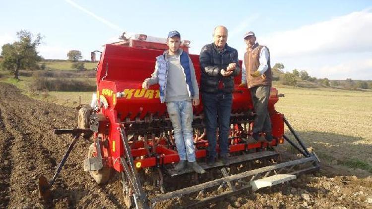 Kırklarelide yeni geliştirilen buğday çeşitleri denenmek için tarlaya ekildi