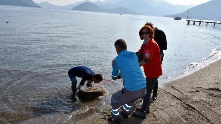 Marmariste kıyı ve deniz dibi temizliği