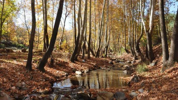 İdilli Vadisinde, sonbahar güzelliği