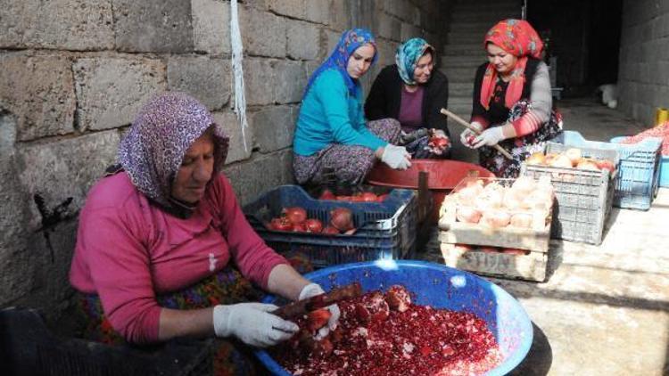 13 kilo nardan, 1 kilo nar ekşisi