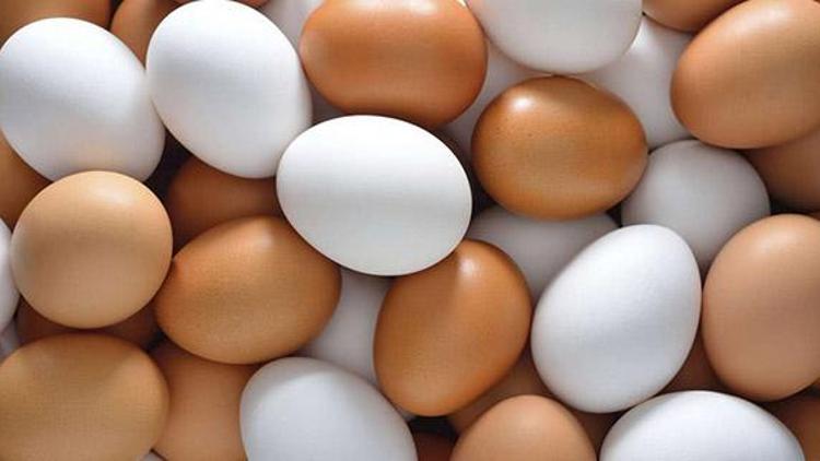 Tavuk yumurtası üretimi azaldı
