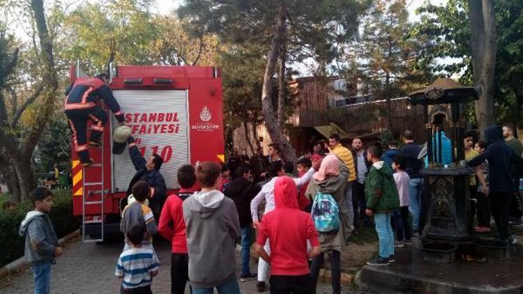 Kediyi kurtarmak için ağaca çıktı; mahsur kalınca itfaiye kurtardı