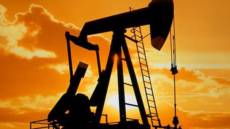 OPECin petrol üretimi ekimde düştü