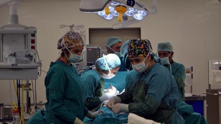 Beyin kanaması geçiren kadının organları bağışlandı