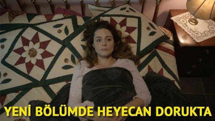 Seven Ne Yapmaz dizisi yayınlanan son bölümüyle final yaptı Final bölümünde neler yaşandı