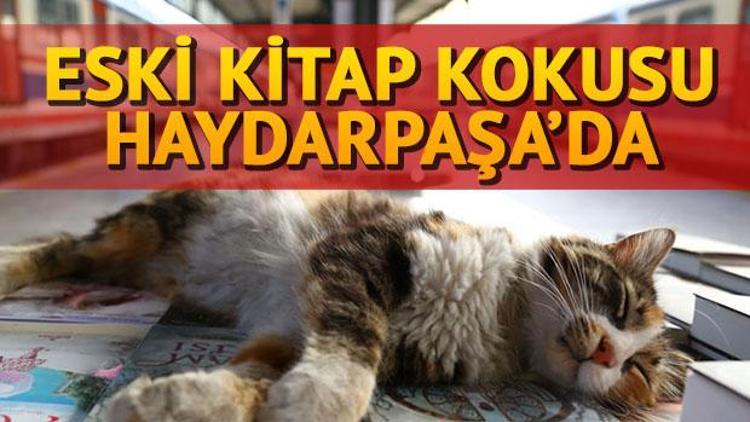 Kadıköy Sahaf Festivali ne zaman başlıyor Eski kitap kokusu Haydarpaşa’da