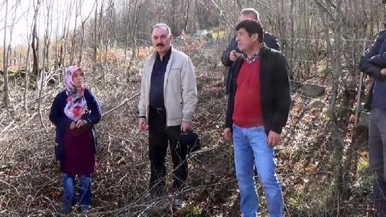 Osmaniyede meşe ve kayın ormanlarına bakım başladı