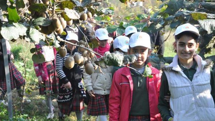 Trabzonda çocuklara toprağı ve tarımı sevdirecek proje