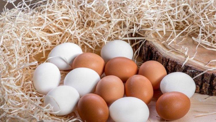 Tavuk eti ve yumurtada üretim rekoru kırılacak