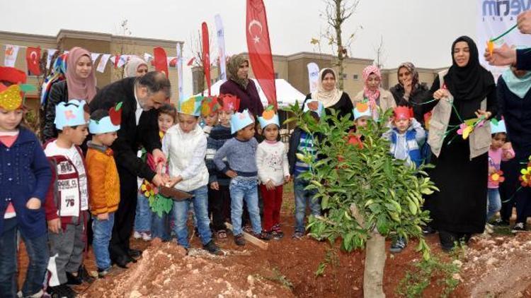 Suriyeli yetimler ağaç dikti