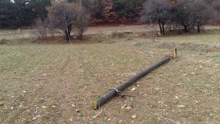 Jandarma, kablo hırsızını yakaladı