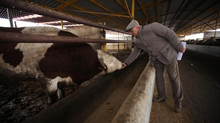 Et ithalatı devam ederse yerli üretici çıkmaza girer