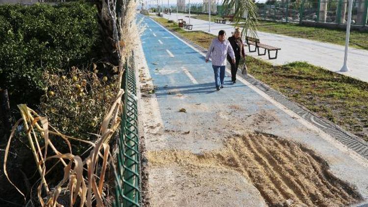 Belediye yaptı vandallar yıktı