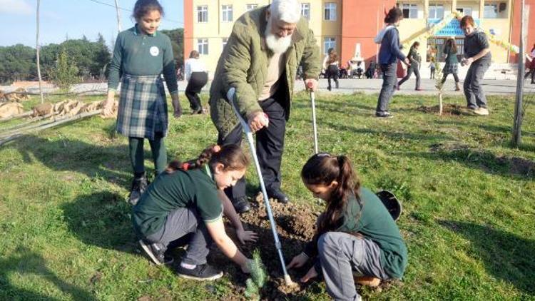 93 yaşındaki Ahmet Erçin, okul bahçesine 700 fidan dikti