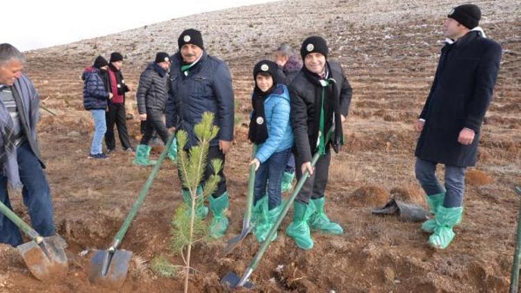 Kahramanmaraşa, Öğretmenler ormanı