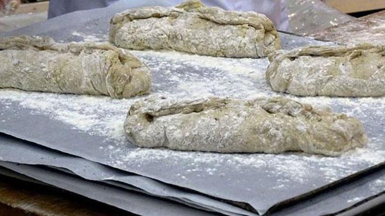 Finlandiya’da bir fırın cırcır böceği tozundan ekmek üretti