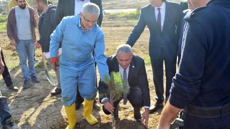 ÇÜ Ceyhan Kampüs alanına fidan dikildi