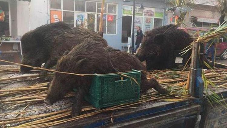 Düşman işgalinden kurtuluş yıldönümünde yadırganan görüntüler