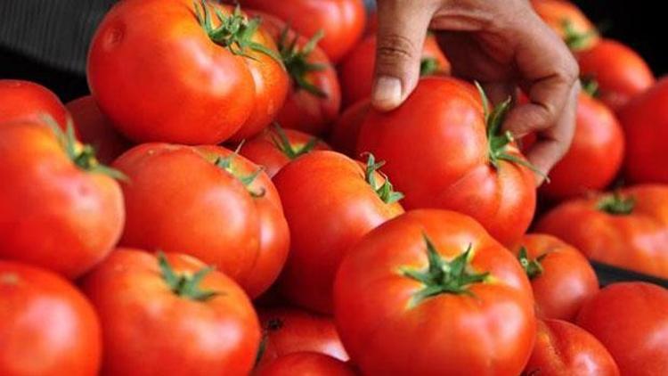 Türkiyenin domates ihracatı yüzde 46 arttı
