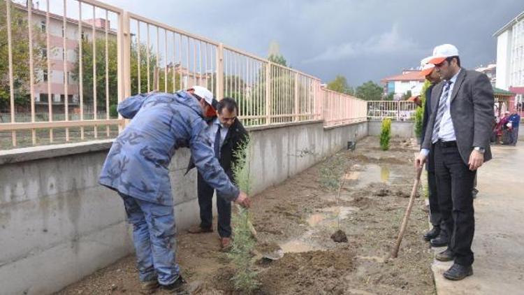 Bereket Ormanlarına Tireden 3 bin fidan