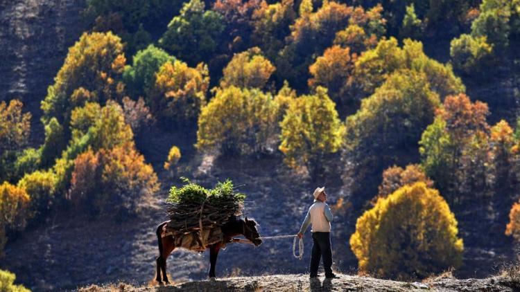 Epson Türkiye Fotoğraf Yarışmasının kazananları belli oldu