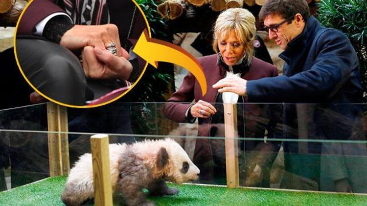 Yavru panda, First Lady Brigitte Macron’a saldırdı