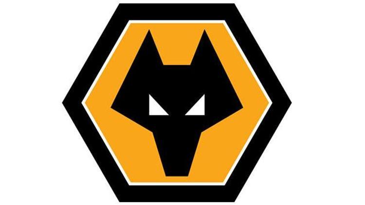 Wolverhampton, Premier Lig’de kendisine yer arıyor