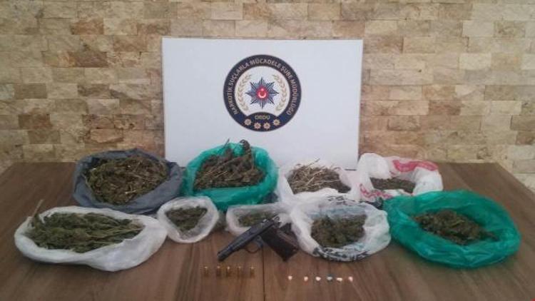 Orduda uyuşturucu ticaretine 29 gözaltı